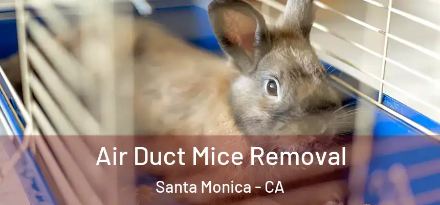 Air Duct Mice Removal Santa Monica - CA
