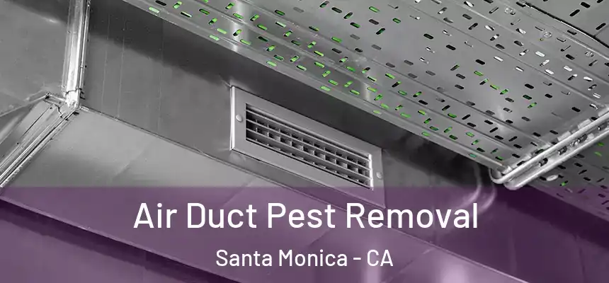 Air Duct Pest Removal Santa Monica - CA