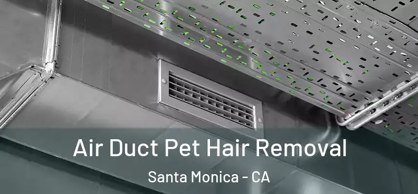 Air Duct Pet Hair Removal Santa Monica - CA