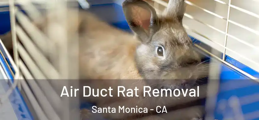 Air Duct Rat Removal Santa Monica - CA