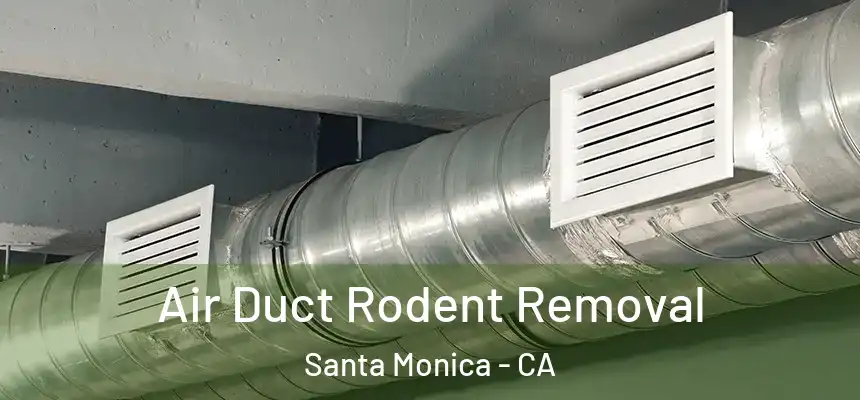 Air Duct Rodent Removal Santa Monica - CA