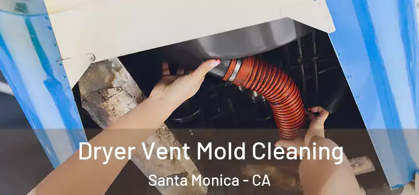 Dryer Vent Mold Cleaning Santa Monica - CA