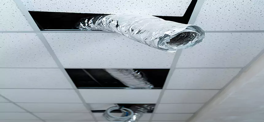 Affordable HVAC Sanitizing After Pest Removal in Santa Monica