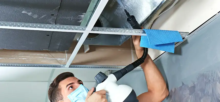 Our Air Duct Rodent Removal Services in Santa Monica, CA
