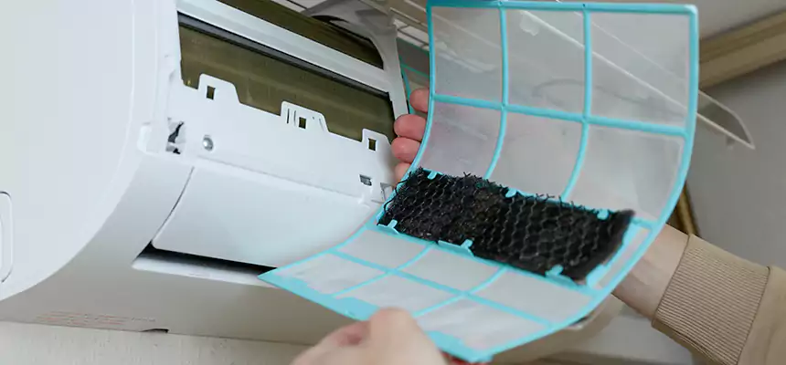 Gentle Ductwork Odor-Control Pet Dander Duct Cleaning in Santa Monica, CA