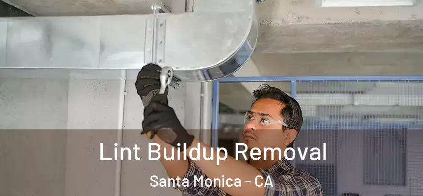 Lint Buildup Removal Santa Monica - CA