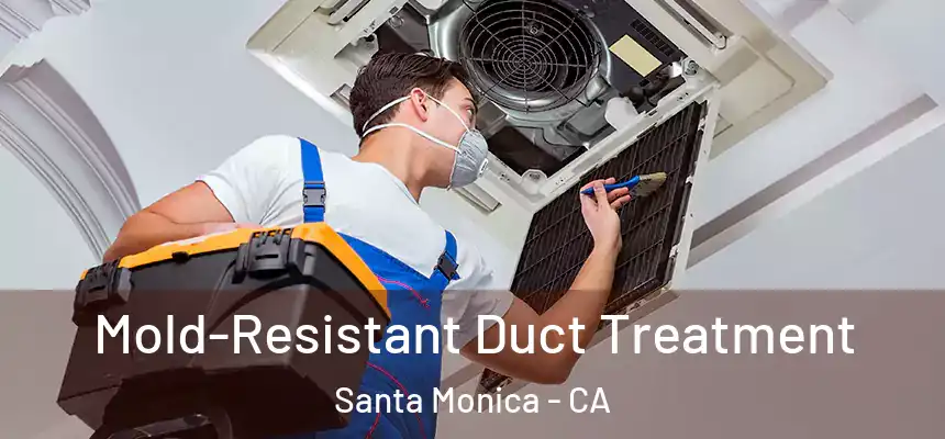  Mold-Resistant Duct Treatment Santa Monica - CA