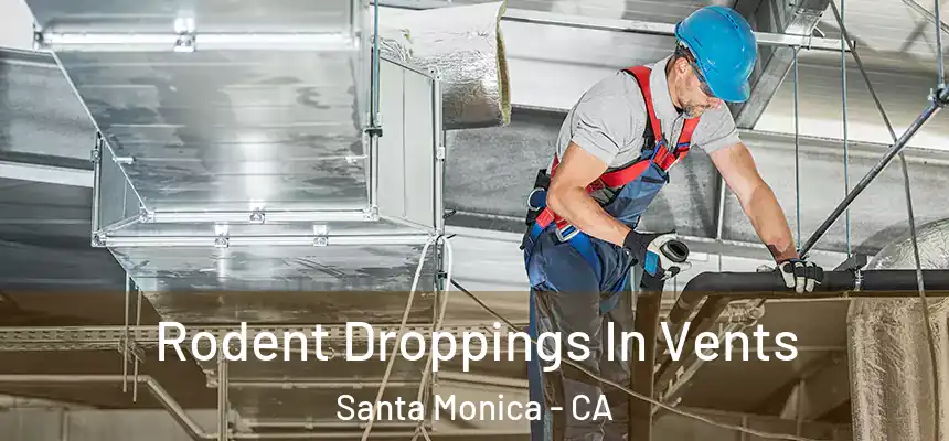  Rodent Droppings In Vents Santa Monica - CA
