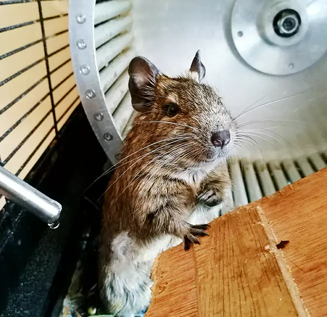 Why Homeowners & Businesses Trust Us Santa Monica, CA