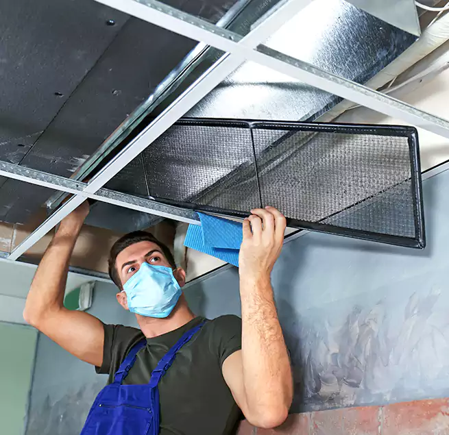 Why Homeowners Businesses Trust Us in Santa Monica, CA