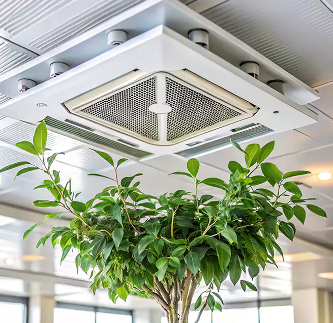 Why Homeowners & Businesses Trust Us in Santa Monica, CA?