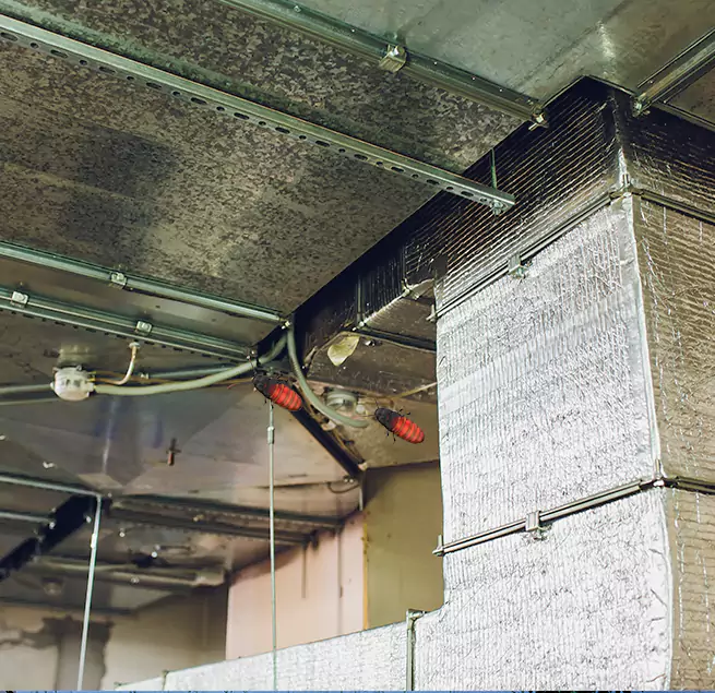 Why Homeowners & Businesses Trust Us Santa Monica, CA?